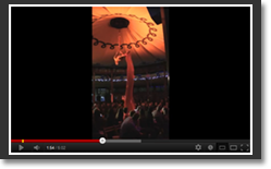 Elise - Burlesque Aerial Silks Act